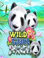 แนะนำ Volcano โบนัส เกมสนุกที่ไม่ควรพลาด